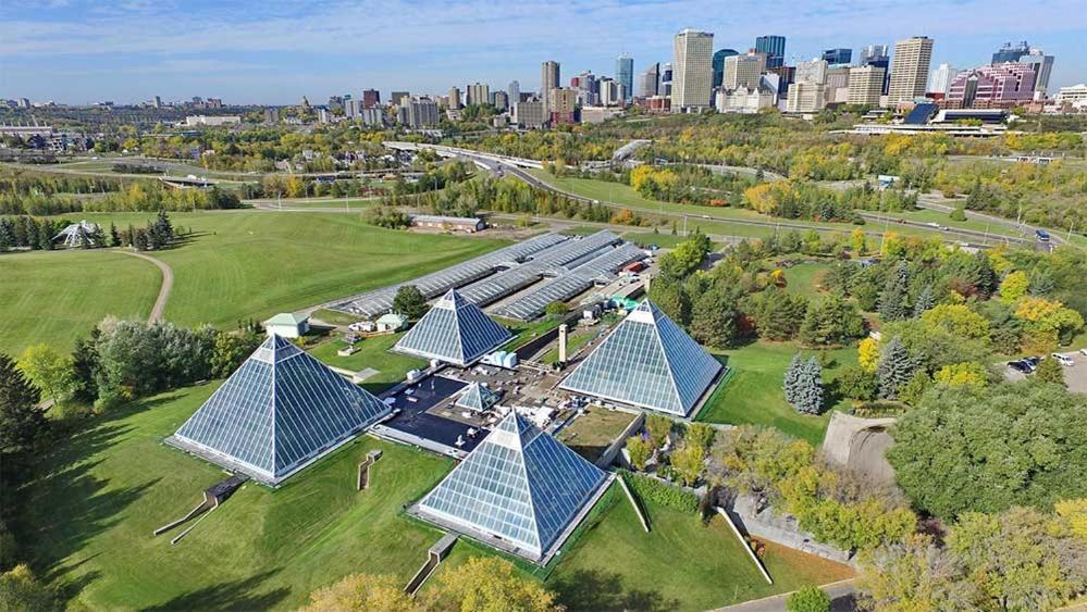 Vibrant Modern Oasis - Free Parking, Netflix, Fast Wi-Fi - Long Stays Welcome Edmonton Exteriör bild
